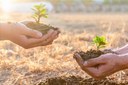 Câmara aprova criação da Secretaria Municipal de Meio Ambiente e reestruturação da gestão urbana Câmara aprova criação da Secretaria Municipal de Meio Ambiente e reestruturação da gestão urbana