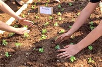 Câmara aprova criação do programa “Horta na Escola” na rede municipal de ensino