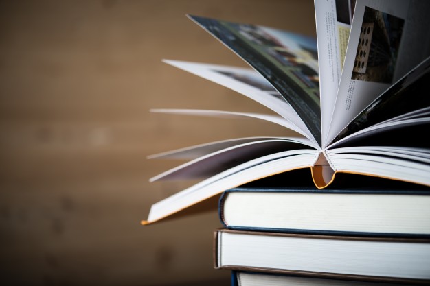 Câmara aprova PDV, PAI e aquisição de material pedagógico