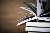 Câmara aprova PDV, PAI e aquisição de material pedagógico