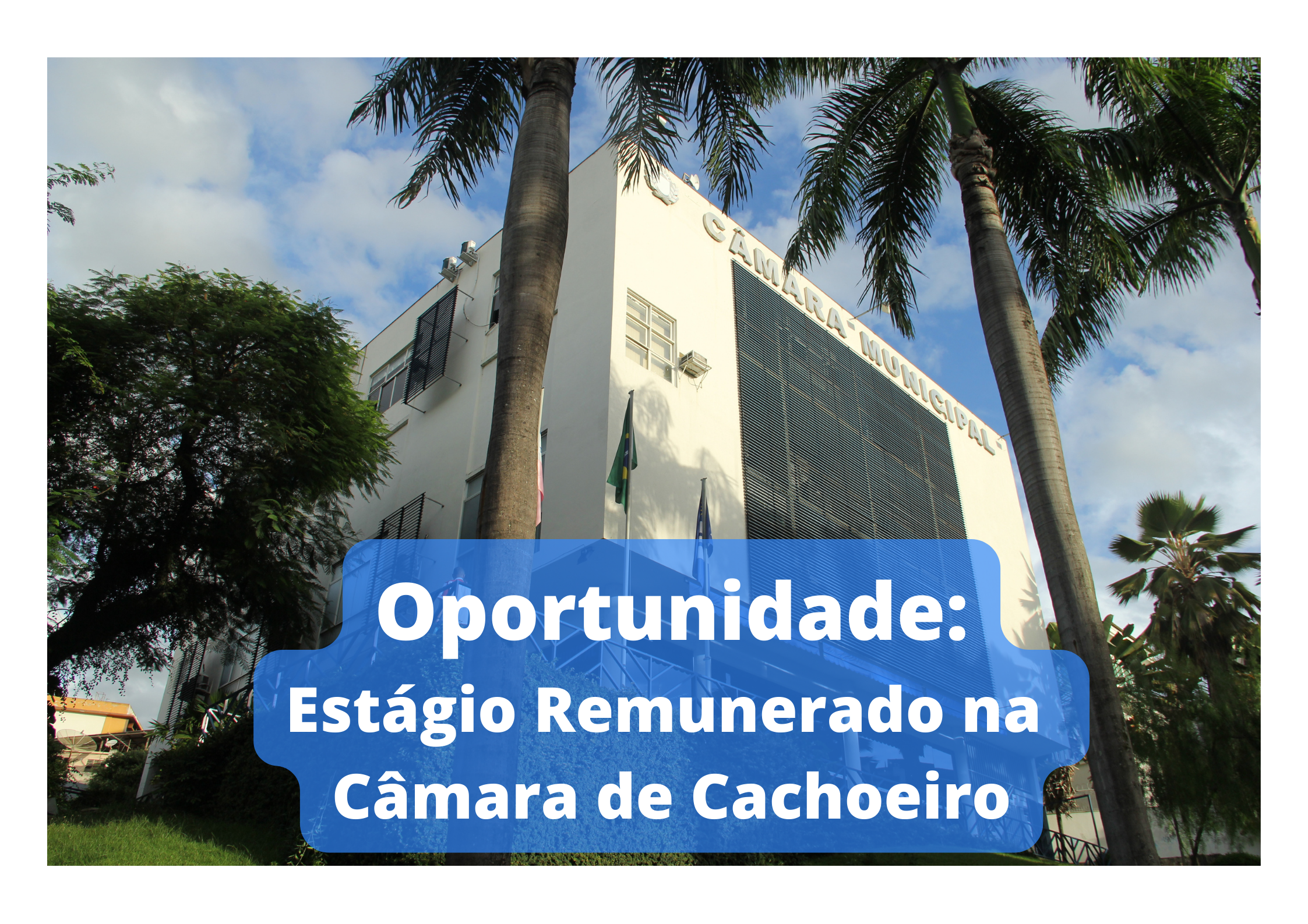Câmara de Cachoeiro abre processo seletivo para estágio remunerado em 2023