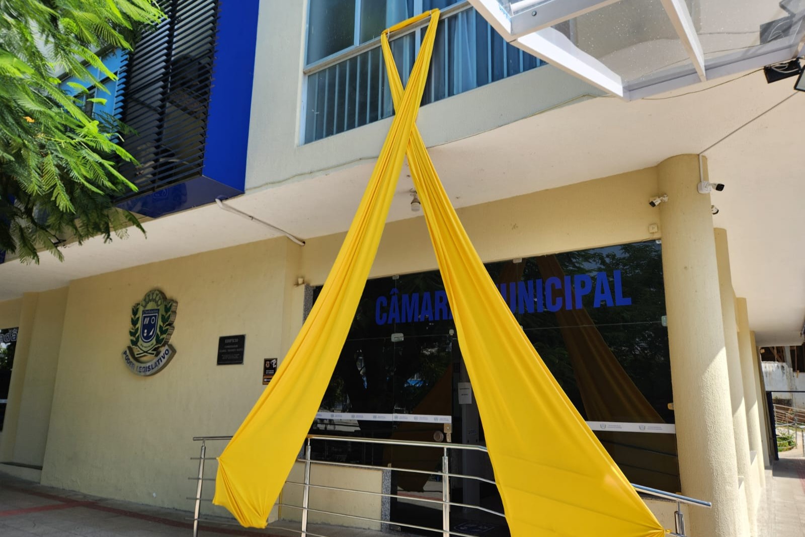 Câmara de Cachoeiro apoia campanha Março Amarelo de conscientização sobre a Endometriose