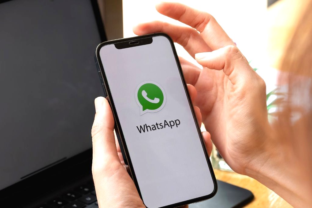 Câmara disponibiliza número de WhatsApp enquanto telefones fixos passam por manutenção