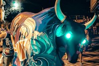 Câmara inclui Carnaval do Boi Pintadinho Tsunami no calendário oficial de Cachoeiro