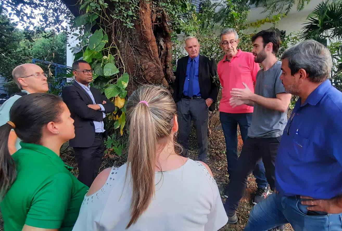    Câmara vai iniciar tratamento para tentar salvar flamboyant