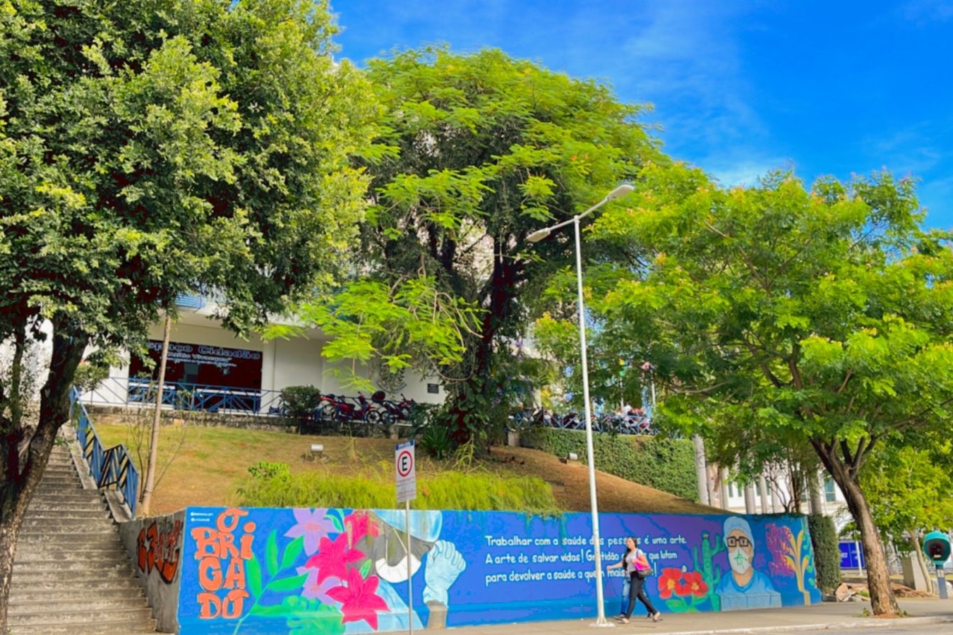 Contrário ao corte, Brás aguarda laudo sobre flamboyant