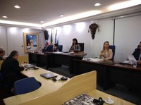 Vereadora conduz sessão em Semana da Mulher