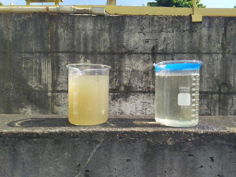 material coletado material coletado